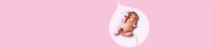 Стволови Клетки Future Health