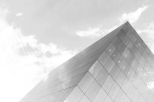 FUTURE HEALTH BIOBANK