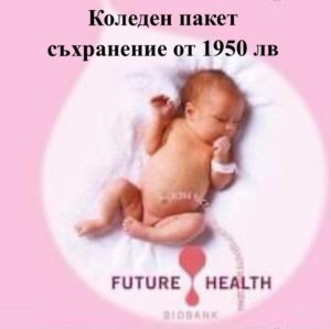 стволови клекти коледа