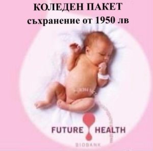 стволови клетки