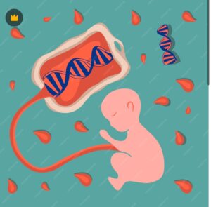 съхранение на стволови клетки в биобанка Future Health