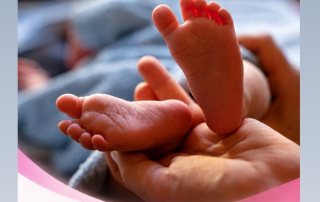 трансплантация на стволови клетки
